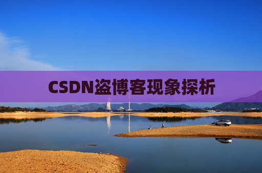 CSDN盗博客现象探析